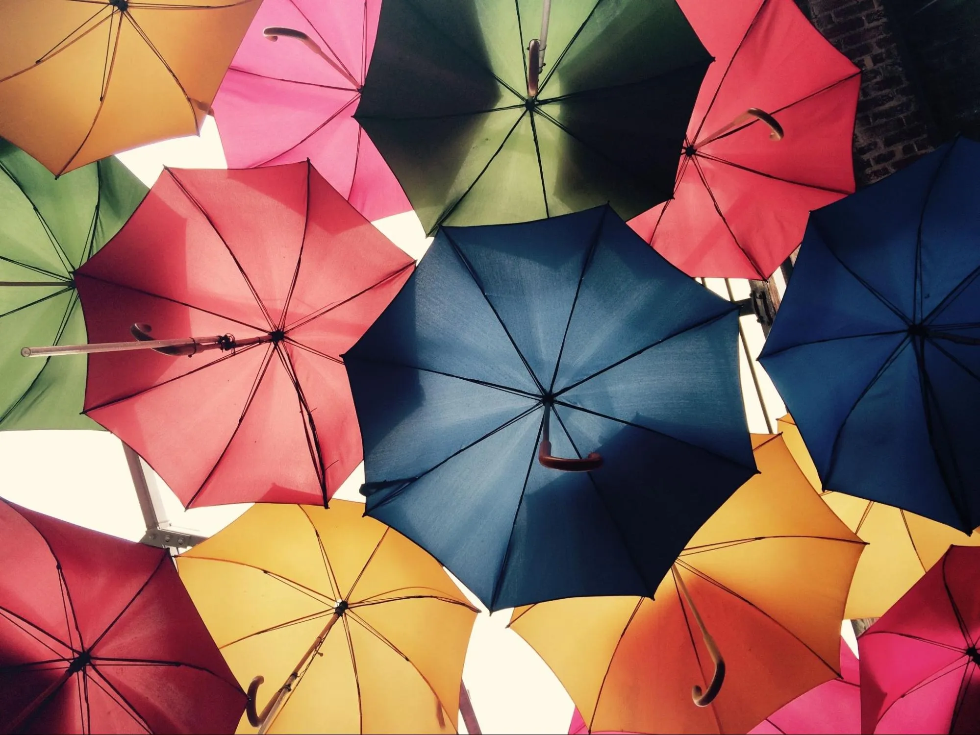 How much is insurance for a small business per month?